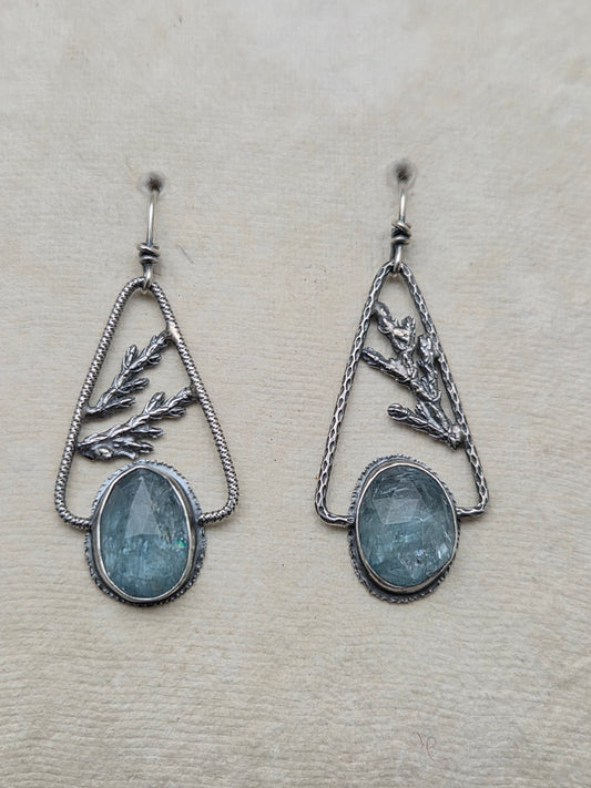 Aqua Kyanite and Cedar earrings